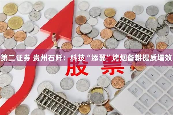 第二证券 贵州石阡：科技“添翼”烤烟备耕提质增效